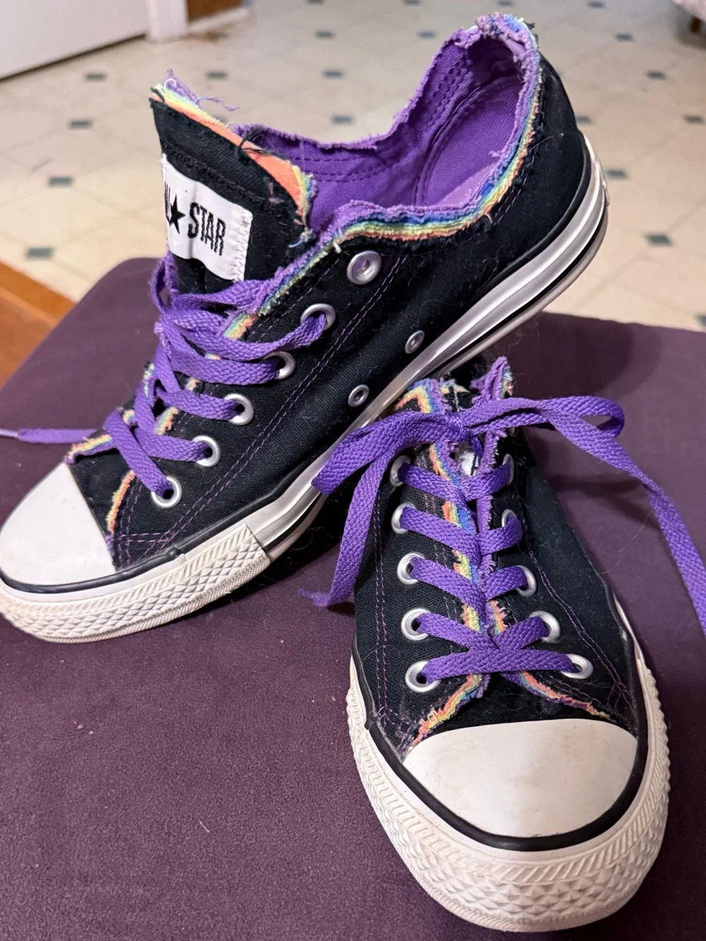 Adult Low-Top Canvas Sneakers with Purple Laces and Rainbow Trim
